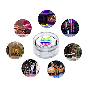 Landscape lights